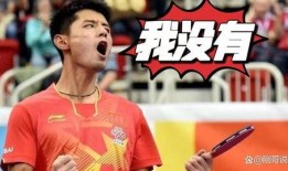 知名记者爆料张继科视频,记者独家爆料，真相究竟如何？