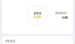 武汉爆料外卖员事件视频,真相与争议交织的街头冲突