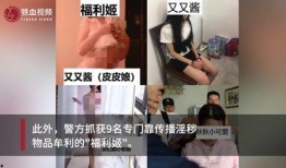 《原味在线观看》,揭秘网络直播的诱惑与挑战