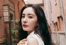 杨幂孙怡金瀚最新爆料,揭秘娱乐圈背后的故事
