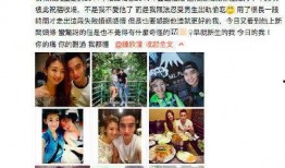 飞利浦前妻爆料视频大全,视频大全背后的惊人真相