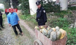 甘谷网红吃瓜事件视频曝光,视频曝光引发网友热议