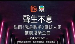 娱乐不息爆料不断,揭秘娱乐圈最新动态