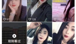 狐狸被歌迷爆料视频,引发网友热议