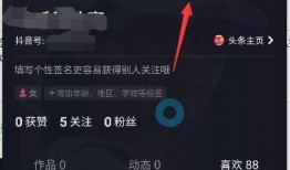 怎样找抖音上的爆料视频,如何轻松找到热门爆料视频