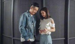 明星的婚姻爆料视频大全,明星婚姻爆料视频大盘点