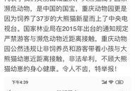 重庆问政最新爆料,揭露背后惊人真相