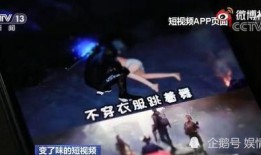 狐狸被歌迷爆料视频,引发网友热议
