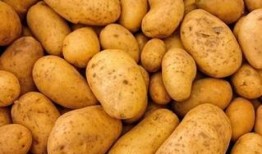 北京大土豆爆料视频大全,揭秘幕后真相与精彩瞬间