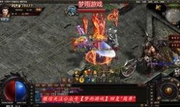 手游稻草人爆料视频在线观看,揭秘游戏新内容与玩法