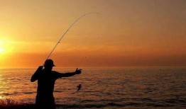 爆料钓鱼真相大全视频播放,揭秘网络钓鱼的常见手段与防范技巧