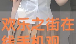 欢乐之街在线观看
