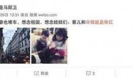 马蓉知乎爆料视频大全,揭秘婚姻背后的真相与争议