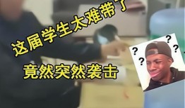 高中生最新爆料视频免费,高中生最新爆料视频曝光惊人内幕