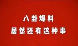 荆门八卦娱乐爆料案件,揭秘娱乐圈惊人内幕
