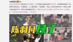 宛如结婚爆料视频播放全集,揭秘明星婚姻背后的真相
