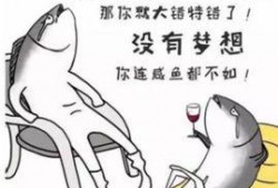 网友爆料咸鱼视频下载,网友爆料，轻松获取海量视频资源