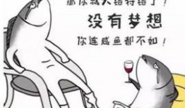 网友爆料咸鱼视频下载,网友爆料，轻松获取海量视频资源