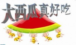 娱乐吃瓜ppt,揭秘娱乐圈幕后故事与热点事件