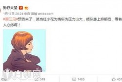 谁爆料了小花梅的微博视频,背后真相令人震惊！”