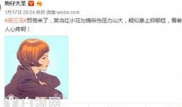 谁爆料了小花梅的微博视频,背后真相令人震惊！”
