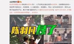 天涯爆料洋澜一视频,洋澜一视频揭秘惊人内幕