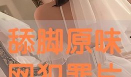 《原味在线观看》,揭秘网络直播的诱惑与挑战
