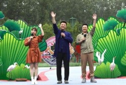 阿诺最新爆料新闻视频下载,揭秘幕后真相，视频内容深度解析