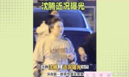 狗仔爆料沈腾视频大全集,狗仔爆料视频全集回顾