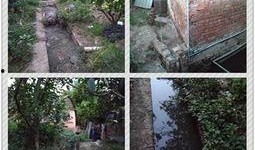 长春养猪场爆料视频,揭露养殖场内幕，关注动物福利与环保问题