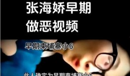 小六的爆料人是谁啊视频,真相即将揭晓
