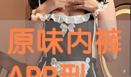 《原味在线观看》,揭秘网络直播的诱惑与挑战