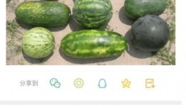 新瓜最新爆料图片