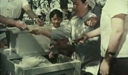 电影黑三角在线观看,揭秘神秘三角洲的惊险冒险