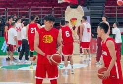 中国男篮最新爆料,揭秘备战世界杯的备战策略与备战情况