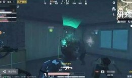 爆料新版本和平精英视频