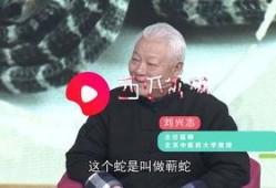 名老中医爆料视频,传承千年养生智慧