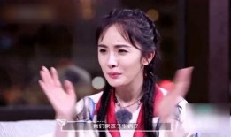 杨幂爆料金瀚视频播放,揭秘幕后故事与精彩瞬间