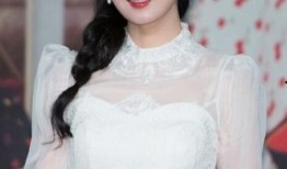 陈晨爆料视频合集下载,揭秘事件真相与幕后故事