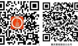 重庆新闻爆料微信公众号,聚焦山城最新动态，揭秘城市热点事件