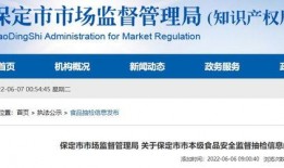 保定新闻最新消息爆料,最新爆料揭示重大事件进展