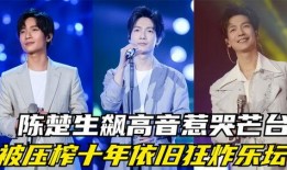 内娱男团爆料视频,幕后故事与真实心声