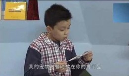 娱乐小爆料小鬼,揭秘明星幕后趣事