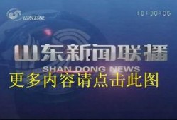 山东卫视 新闻爆料,揭秘重大新闻事件背后真相