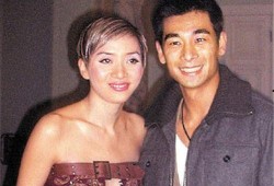 赵文卓爆料拍打戏视频播放,一场惊心动魄的视觉盛宴