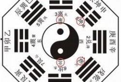 八卦爆料话术大全集视频,揭秘热门视频背后的神秘技巧