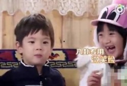 吃瓜八卦娱乐圈lyq,揭秘吃瓜群众眼中的lyq真相