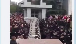 中实学校爆料事件视频,视频揭露惊人真相