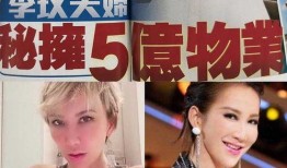 李文最新爆料,揭秘事件背后惊人真相