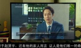 韩国再审在线观看,在线观看，揭秘真相与正义的较量